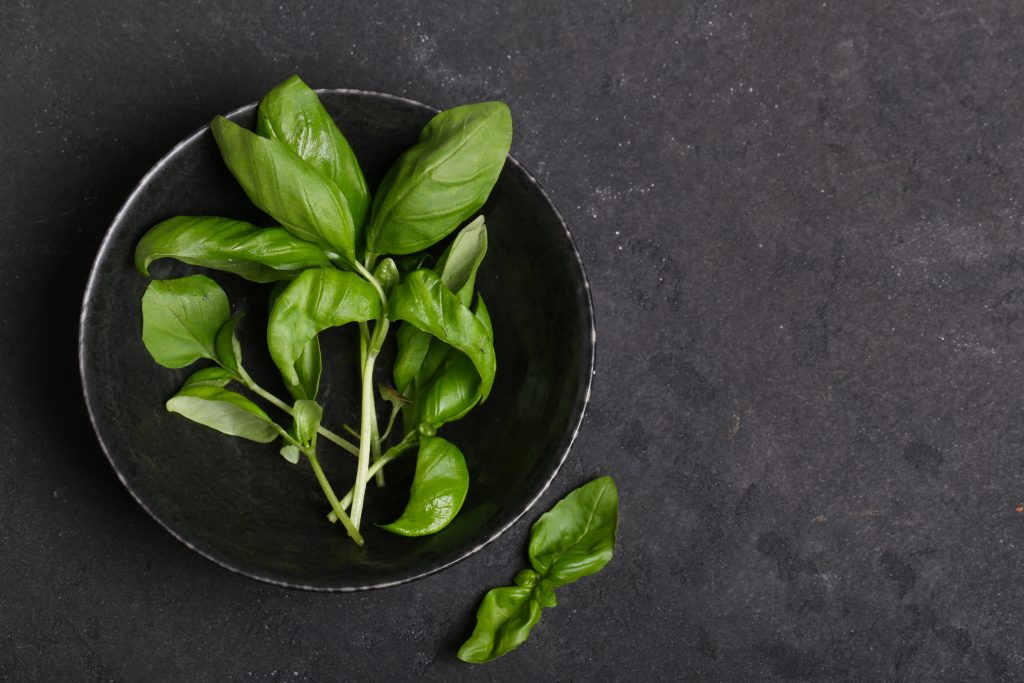 fragrant basil herbs 2023 11 27 05 22 42 utc Les meilleures tisanes pour la fatigue chronique - Libération de l'énergie naturelle